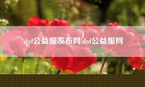 公益服网(公益服网游)